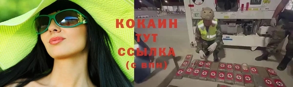 амф Белоозёрский