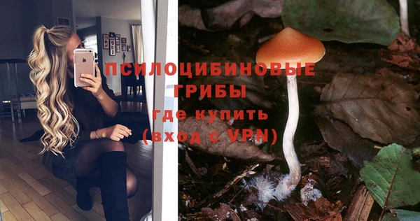 не бодяженный Беломорск