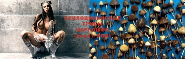 не бодяженный Беломорск