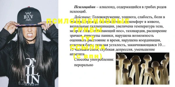 гашик Богородицк