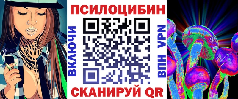 Галлюциногенные грибы Psilocybe  купить закладку  Верхотурье 